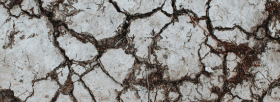 Interdisciplinary Lecture Series Climate Change & Health (4)