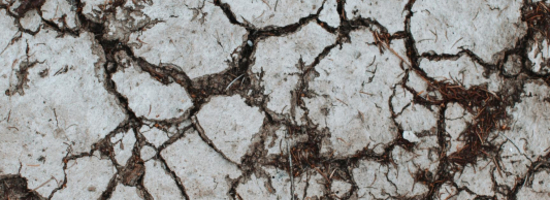 Interdisciplinary Lecture Series Climate Change & Health (2027/2028)