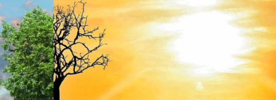 One Health and Climate Change 2027-28