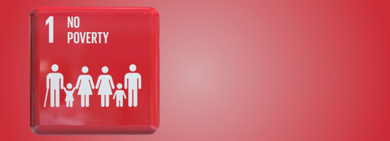 E-Conference on the Sustainable Development Goals – Goal 1: No Poverty